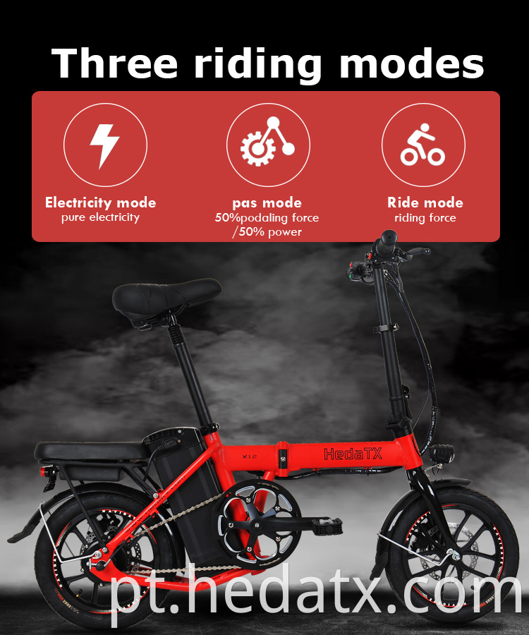 Electric Folding Bike